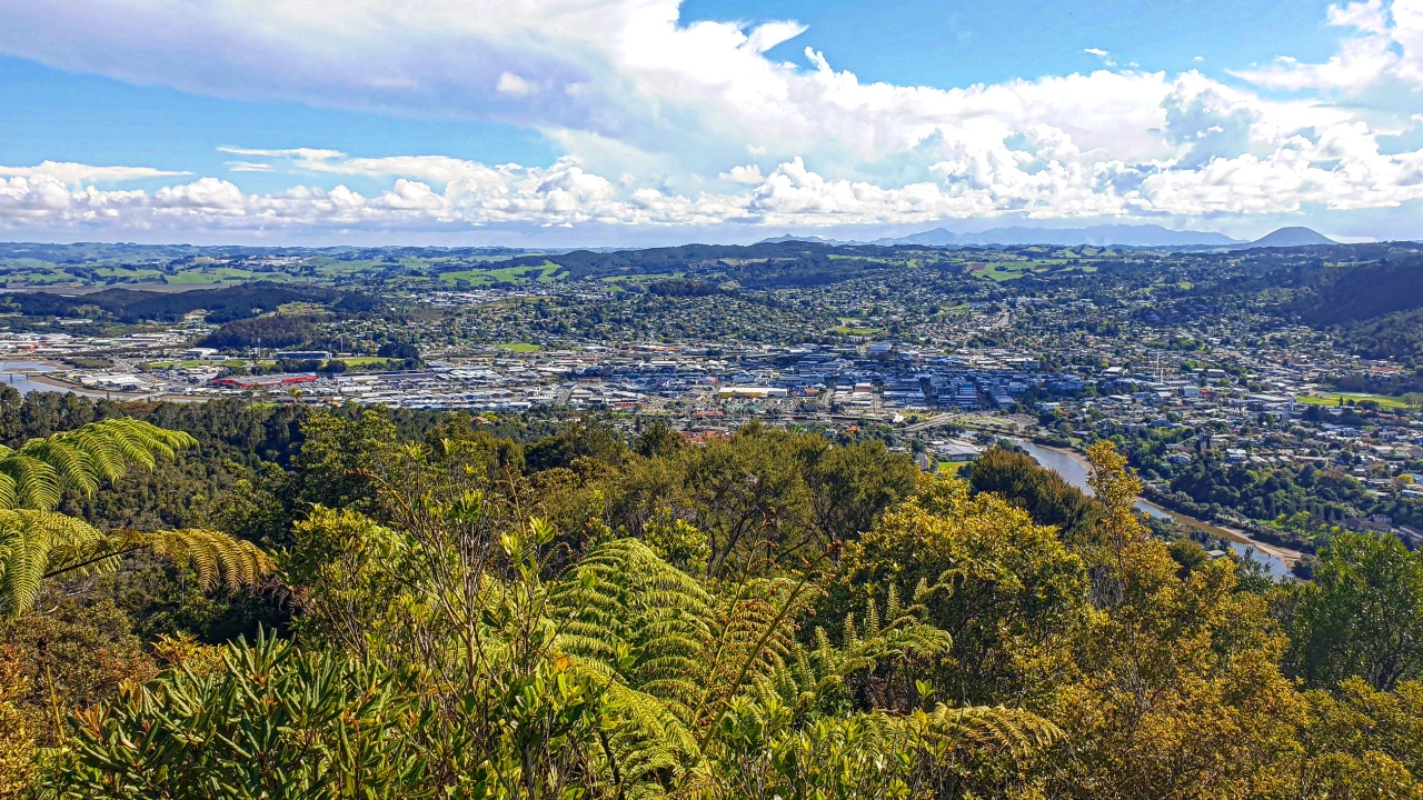 Whangarei digital marketing four stripes