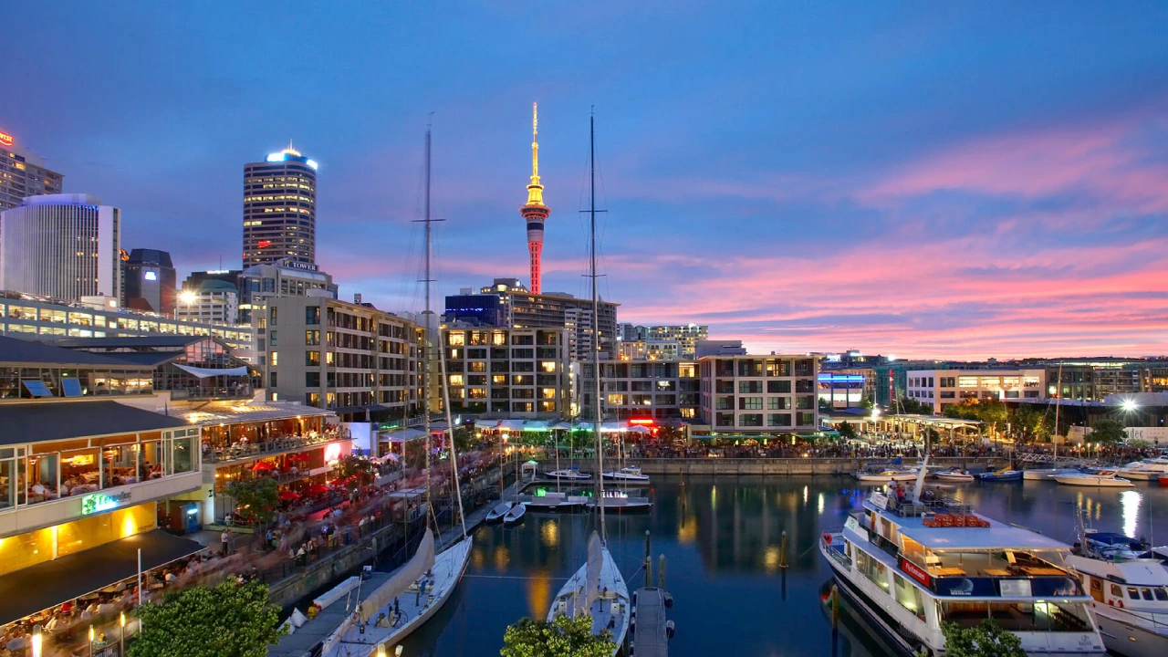 auckland digital marketing four stripes