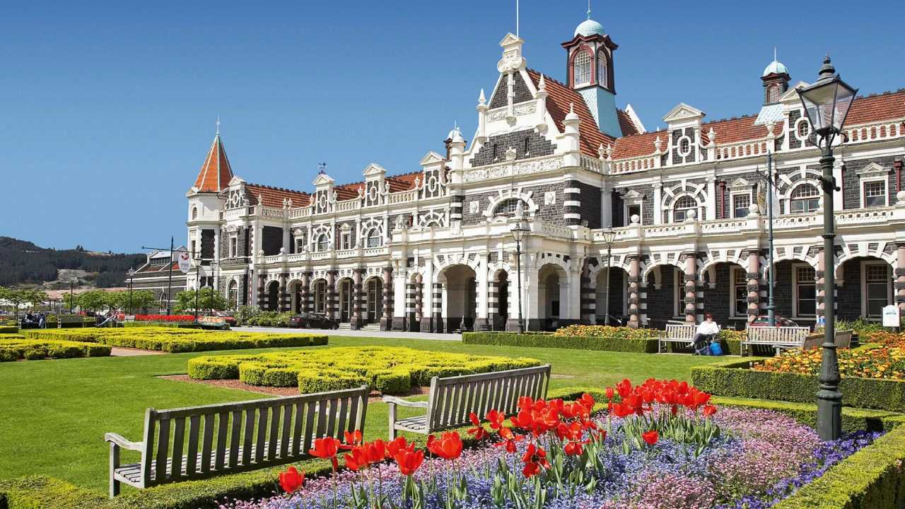 dunedin digital marketing four stripes