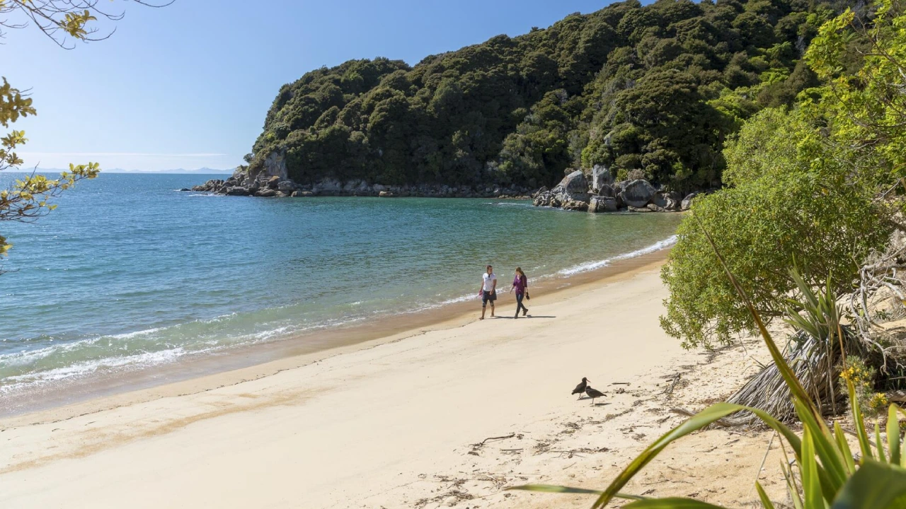 nelson digital marketing four stripes