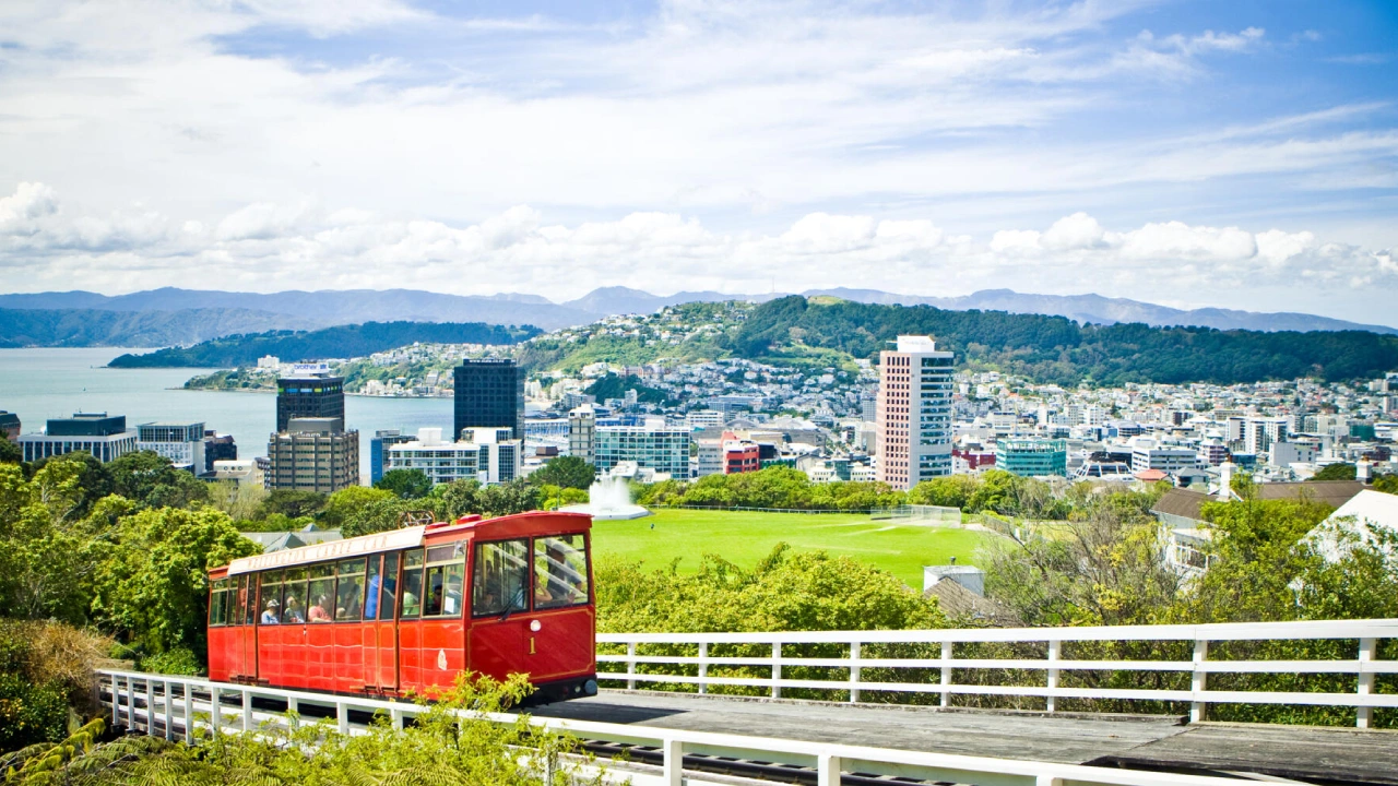 wellington digital marketing four stripes